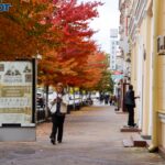 Ноябрь удивляет жителей Кубани рекордным теплом